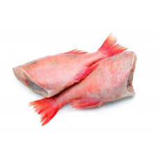 Окунь морской красный тушка, 300-500 грамм, с/м, весовой